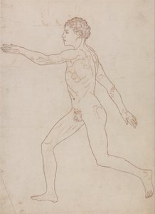 Vergelijkende anatomische expositie van de structuur van het menselijk lichaam met dat van een tijger en een koe